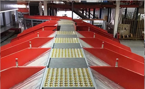 擺輪分揀機(jī),分揀機(jī),DWS物流設(shè)備